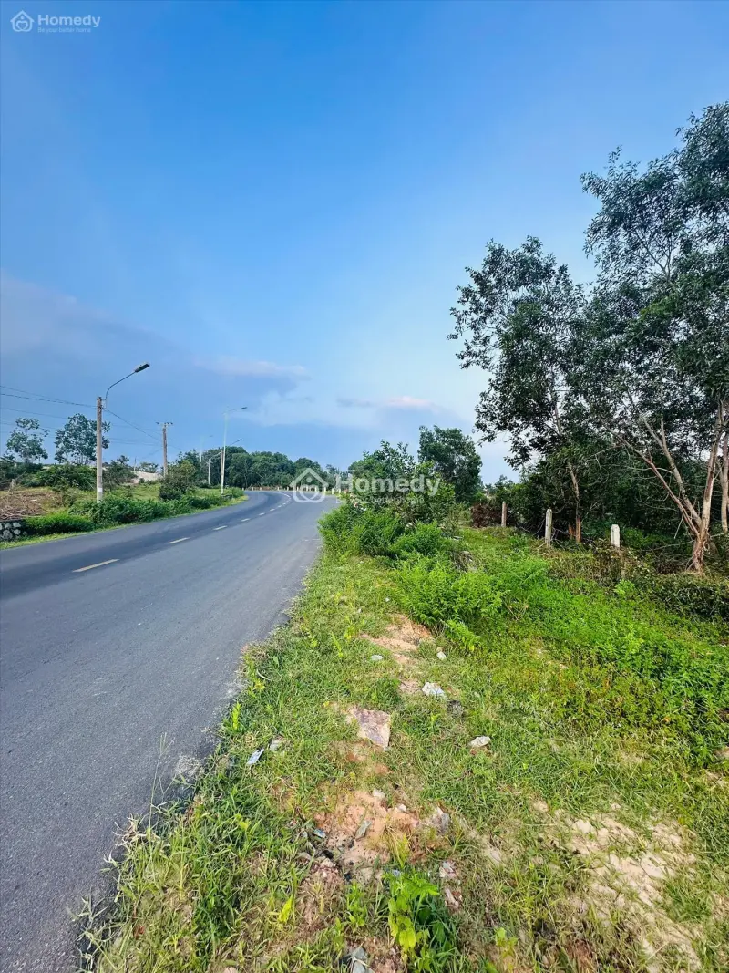 Bán 1246M2 Đất Mặt Tiền Lê Minh Công, Lagi Gần Biển Cam Bình Giá Ngộp 4.8Tr/M2