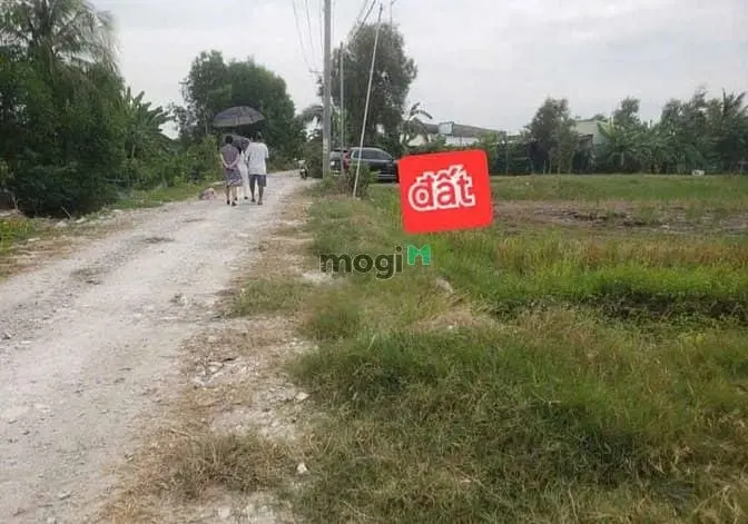 6019050 ảnh đại diện 1