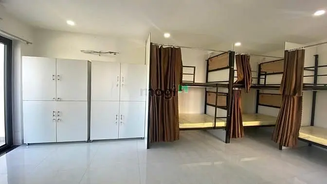6019443 ảnh đại diện 1