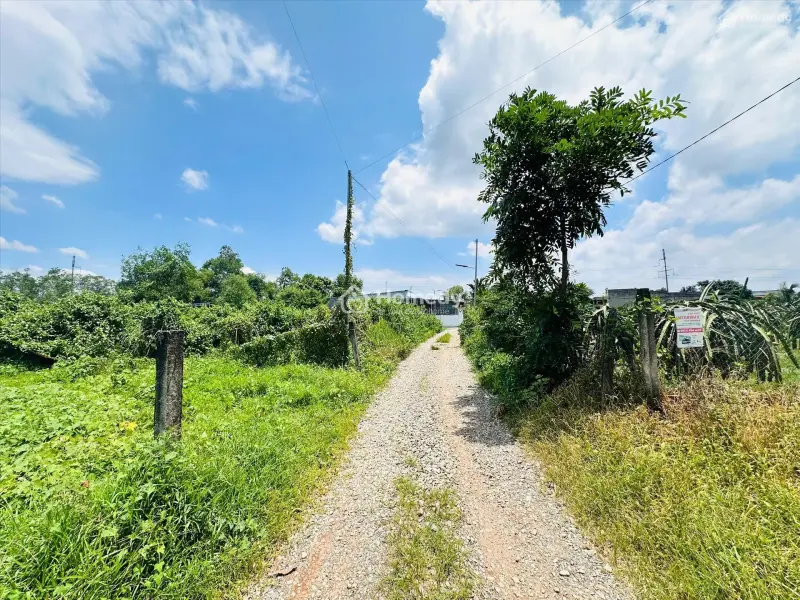 Bán 1008M2 Đất Ont Tân Nghĩa - Hàm Tân Chính Chủ Giá Rẻ Gần Trung Tâm