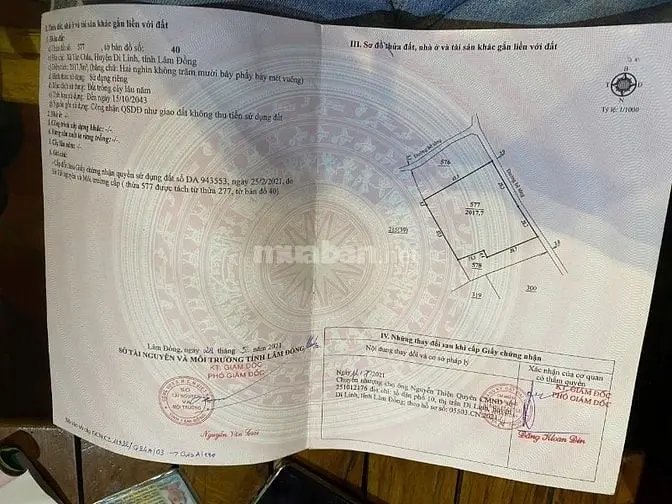 Ngay Nút Giao Cao Tốc Tân Châu, Đáng Đầu Tư