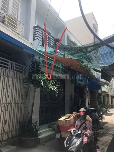 6019317 ảnh đại diện 1