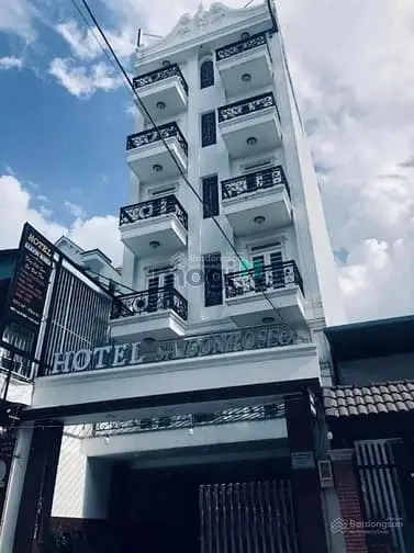 6019201 ảnh đại diện 1