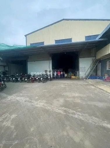 6019259 ảnh đại diện 1