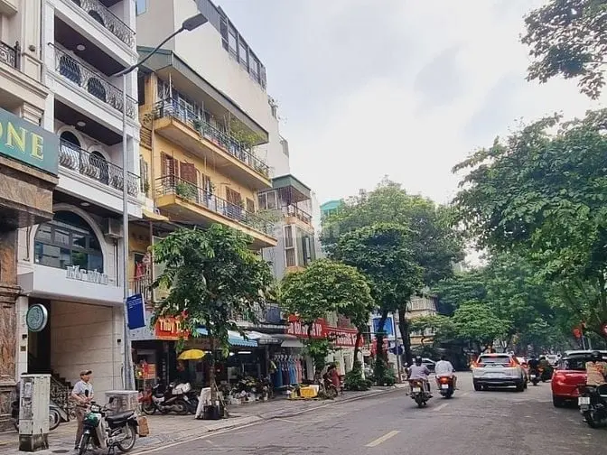 6019254 ảnh đại diện 1