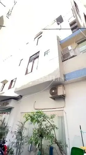 6019523 ảnh đại diện 1