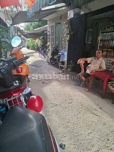6019202 ảnh đại diện 1