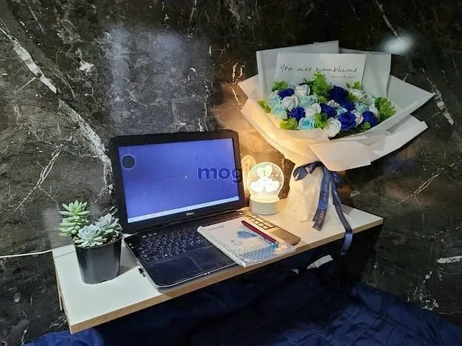 Cho Thuê Ktx Linh Chiểu - Thủ Đức Gần Đh Sư Phạm Kt, Riêng Tư, Sạch Sẽ