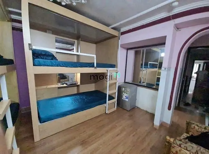6019458 ảnh đại diện 1
