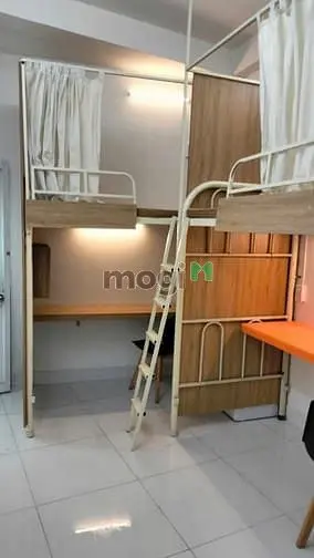 6019331 ảnh đại diện 1