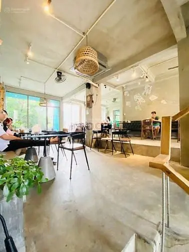 6019199 ảnh đại diện 1