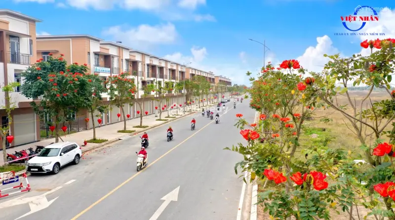 6019466 ảnh đại diện 1
