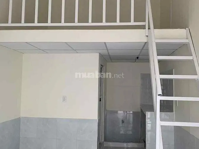 6019226 ảnh đại diện 1