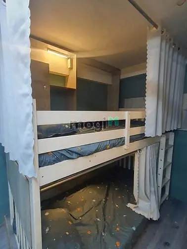 6019347 ảnh đại diện 1