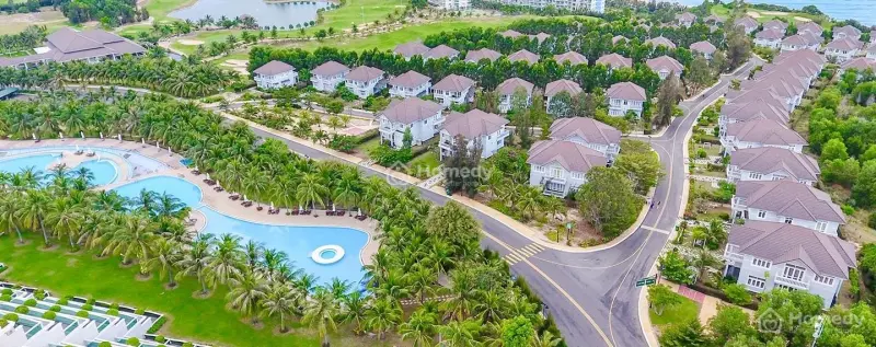 6019460 ảnh đại diện 1
