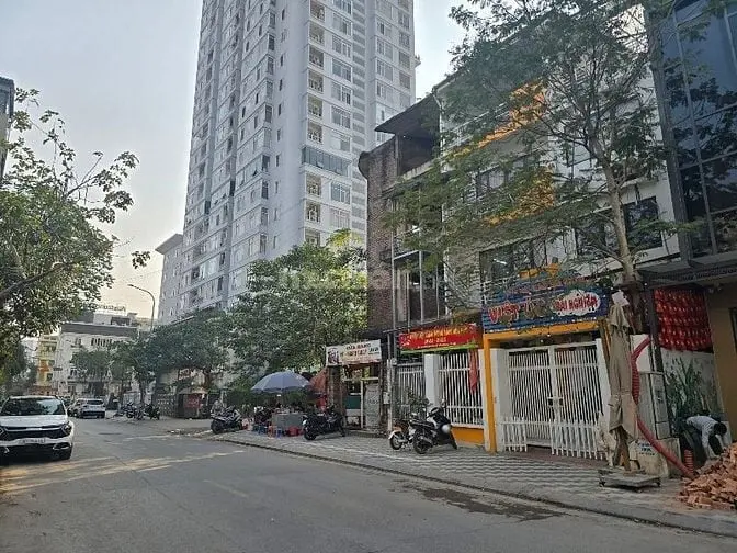 6019346 ảnh đại diện 1