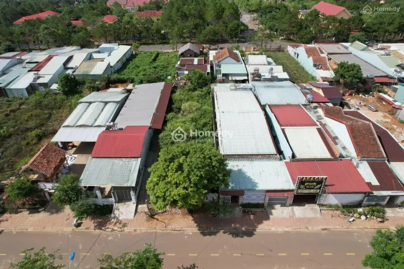 6019252 ảnh đại diện 1