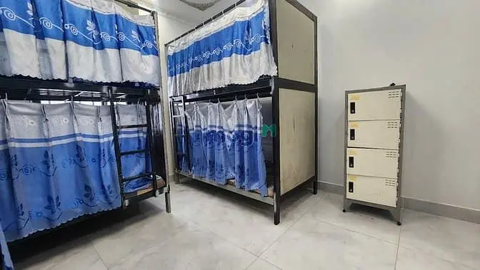 6019213 ảnh đại diện 1