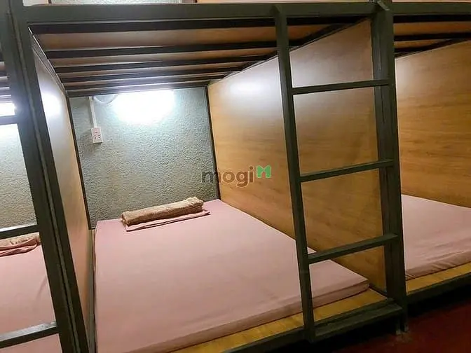 6019211 ảnh đại diện 1