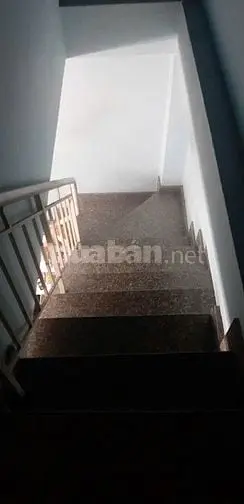 6019410 ảnh đại diện 1