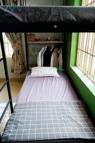 6019239 ảnh đại diện 1
