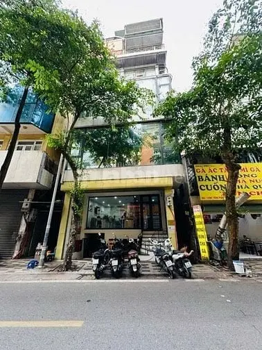 6019344 ảnh đại diện 1