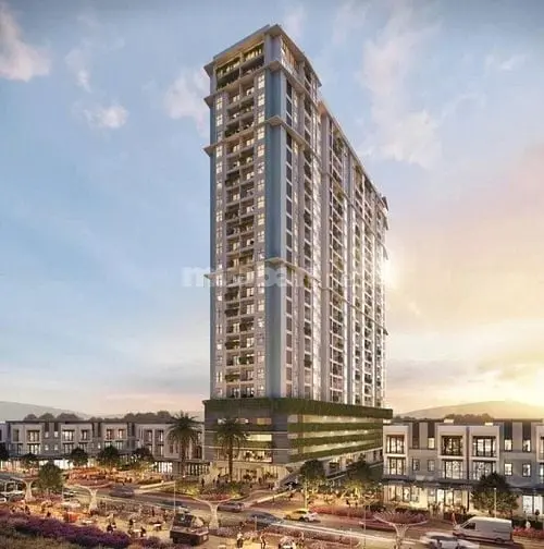 6019382 ảnh đại diện 1