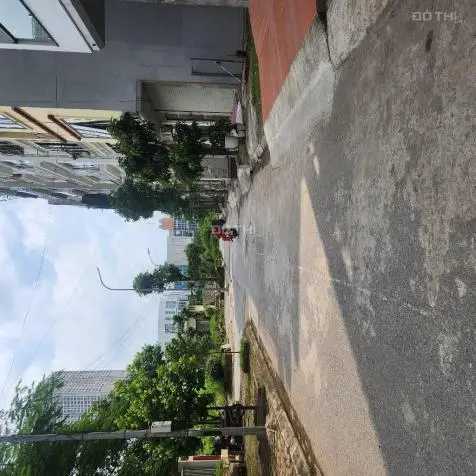 6019293 ảnh đại diện 1