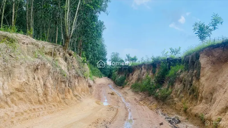 Bán Đất Ngộp 5.9 Sào Sơn Mỹ - Hàm Tân Giá Chỉ 1 Tỷ Sổ Hồng Riêng