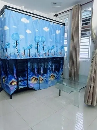 6019396 ảnh đại diện 1