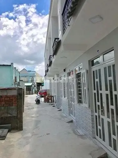 6019375 ảnh đại diện 1