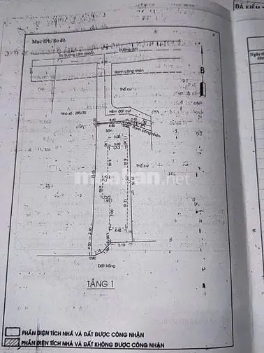 6019408 ảnh đại diện 1