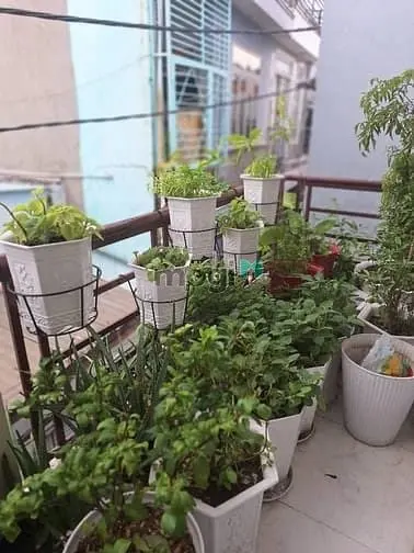 6019413 ảnh đại diện 1