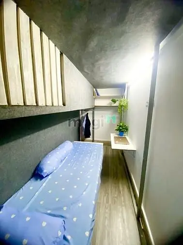 6020045 ảnh đại diện 1