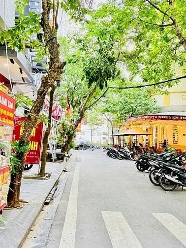 6019814 ảnh đại diện 1