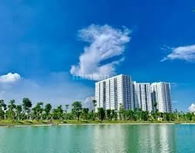 Bán Biệt Thự B2.2 – Kđt Thanh Hà Cienco 5 | Vị Trí Đẹp – Đang Xây Dựng
