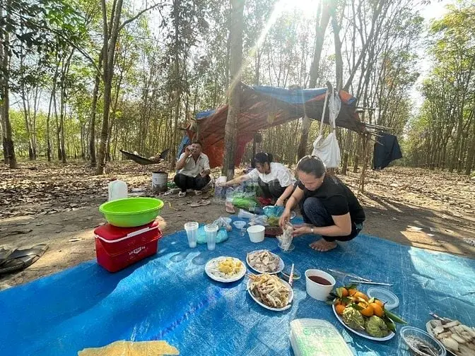 Đất Nông Nghiệp Tại Bình Dương Cũ( Thành Phố Hồ Chí Minh) - Đất Cao Su