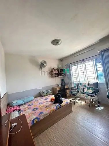 6019820 ảnh đại diện 1