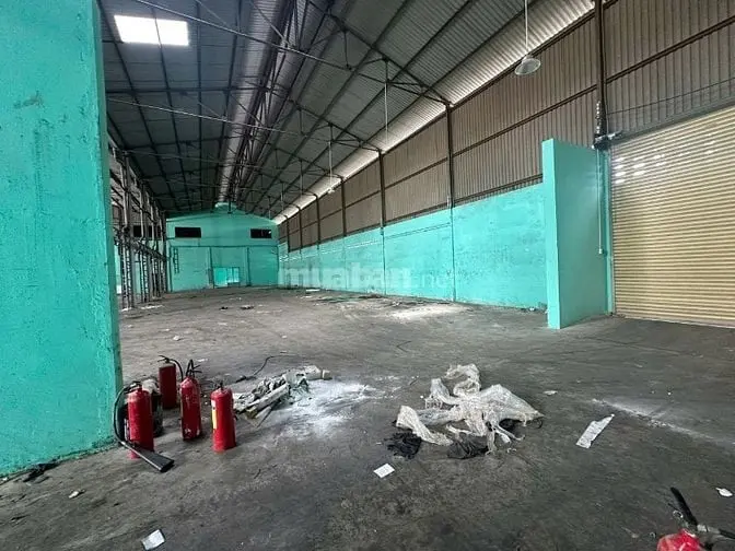 6019926 ảnh đại diện 1