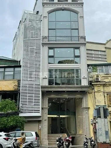 6019590 ảnh đại diện 1