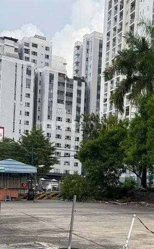 6019950 ảnh đại diện 1