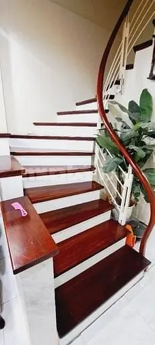 6020058 ảnh đại diện 1
