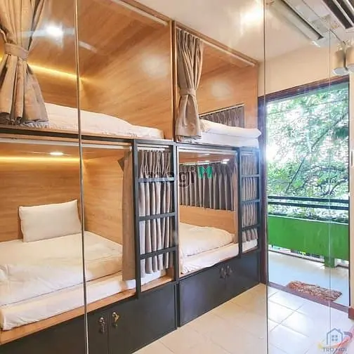 6019912 ảnh đại diện 1