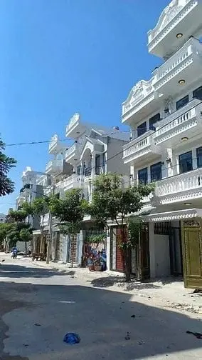 6019640 ảnh đại diện 1