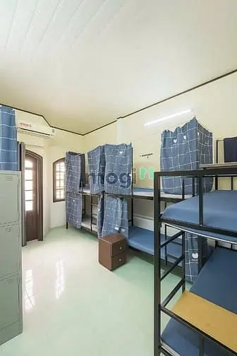 6019961 ảnh đại diện 1