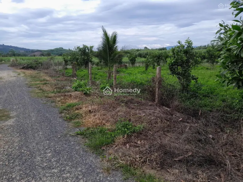 Bán Lô Đất Vườn Diên Xuân 1.087M² – Có Sẵn Vườn Bưởi, Giá Chỉ 340 Triệu