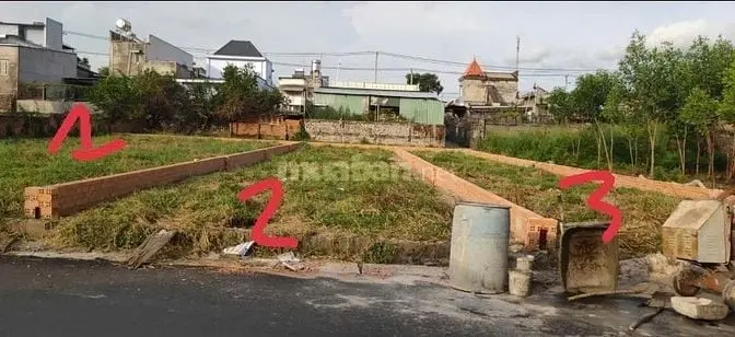 6019764 ảnh đại diện 1