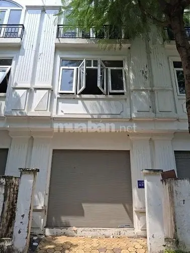 6019970 ảnh đại diện 1