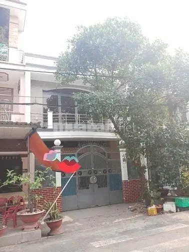 6019658 ảnh đại diện 1