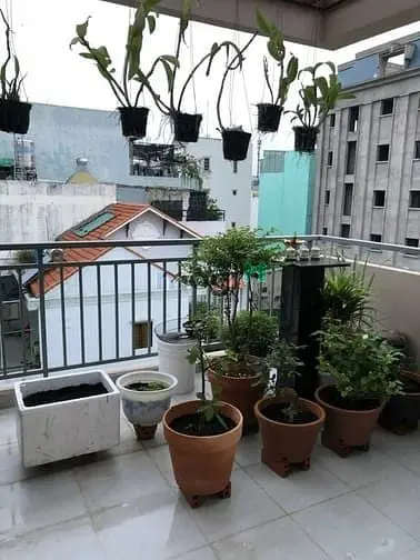 6019794 ảnh đại diện 1